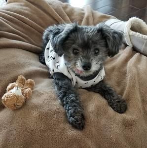 Meet your Posher, Patricia